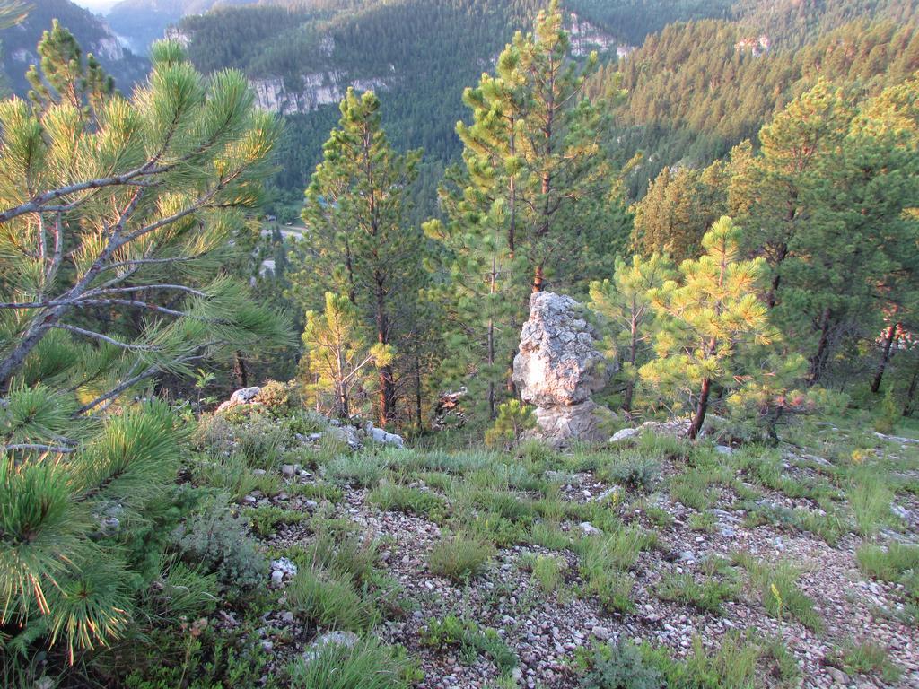 Canyon 5*